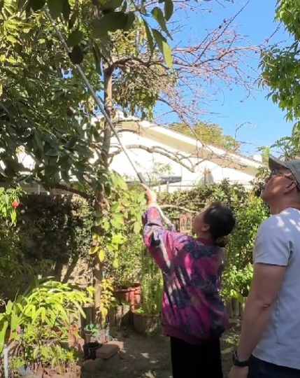 Cuộc sống của danh ca Khánh Ly tại Mỹ sau 1 năm bị đột quỵ- Ảnh 2.