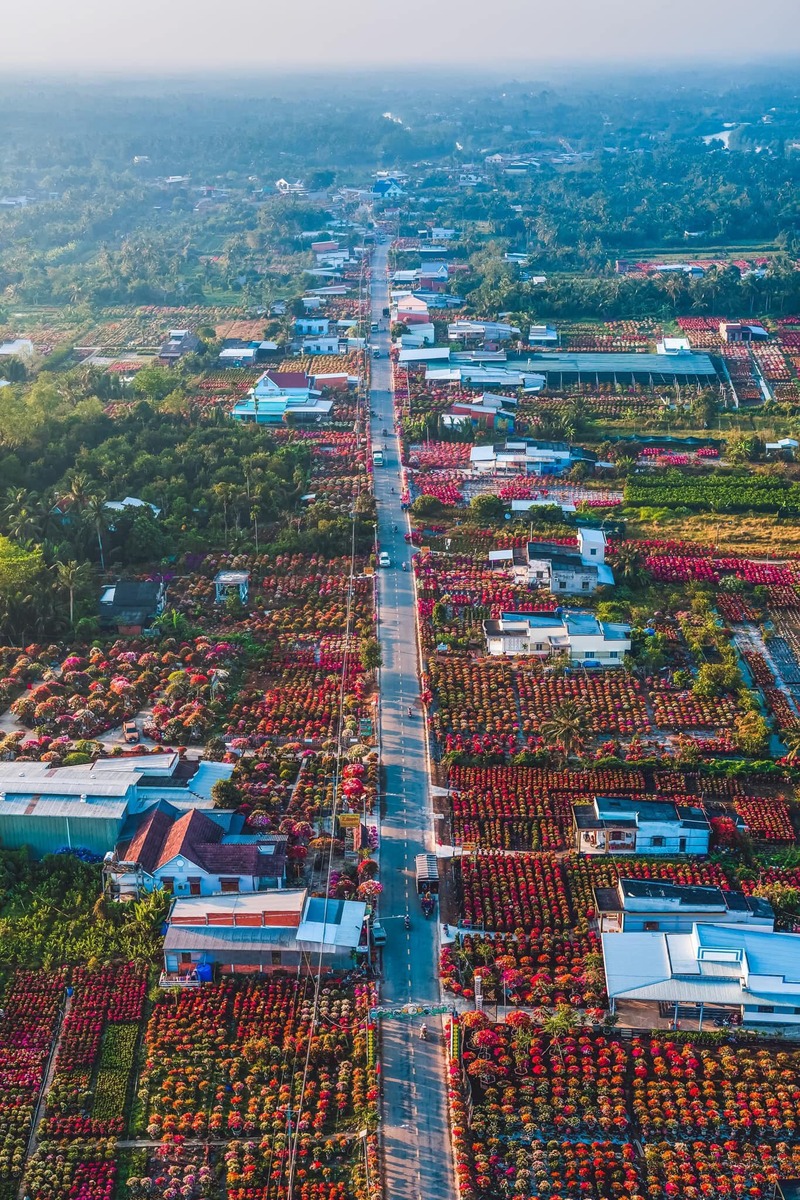 Làng hoa miền Tây đẹp nhất Việt Nam, cả nước sững sờ- Ảnh 4.
