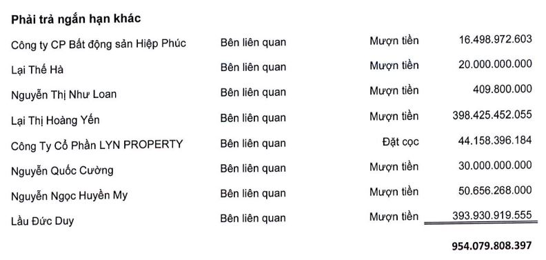 Quốc Cường Gia Lai báo lãi tăng gấp đôi, bán vốn công ty liên kết cho người nhà lãnh đạo - Ảnh 2.