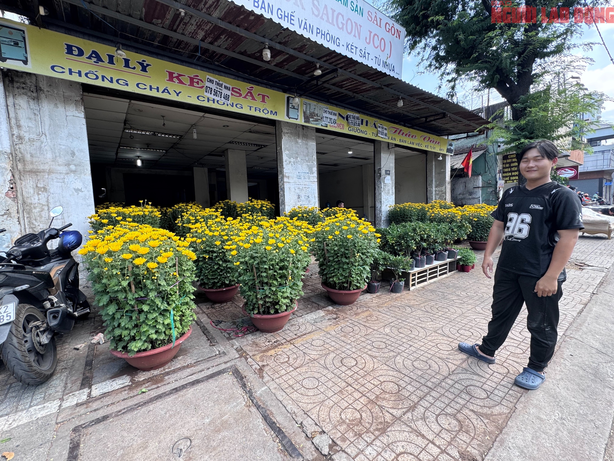 Giá hoa đào Tết 2026 tại TPHCM: Sự bùng nổ về chất lượng và giá cả - Ảnh 9.