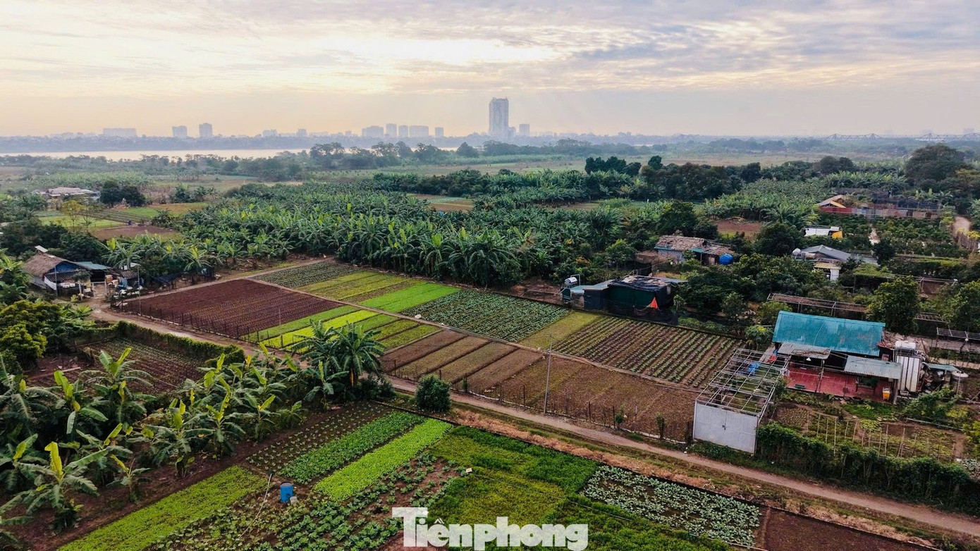 Cận cảnh khu vực làm 3 'siêu đô thị' tái định cư cho Trục đại lộ cảnh quan sông Hồng- Ảnh 4.