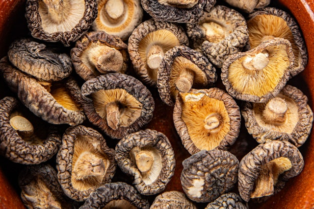 Mua nấm hương đón Tết, thấy 5 đặc điểm này thì mua ngay, toàn là hàng chất lượng cao chỉ người sành sỏi mới biết- Ảnh 1.