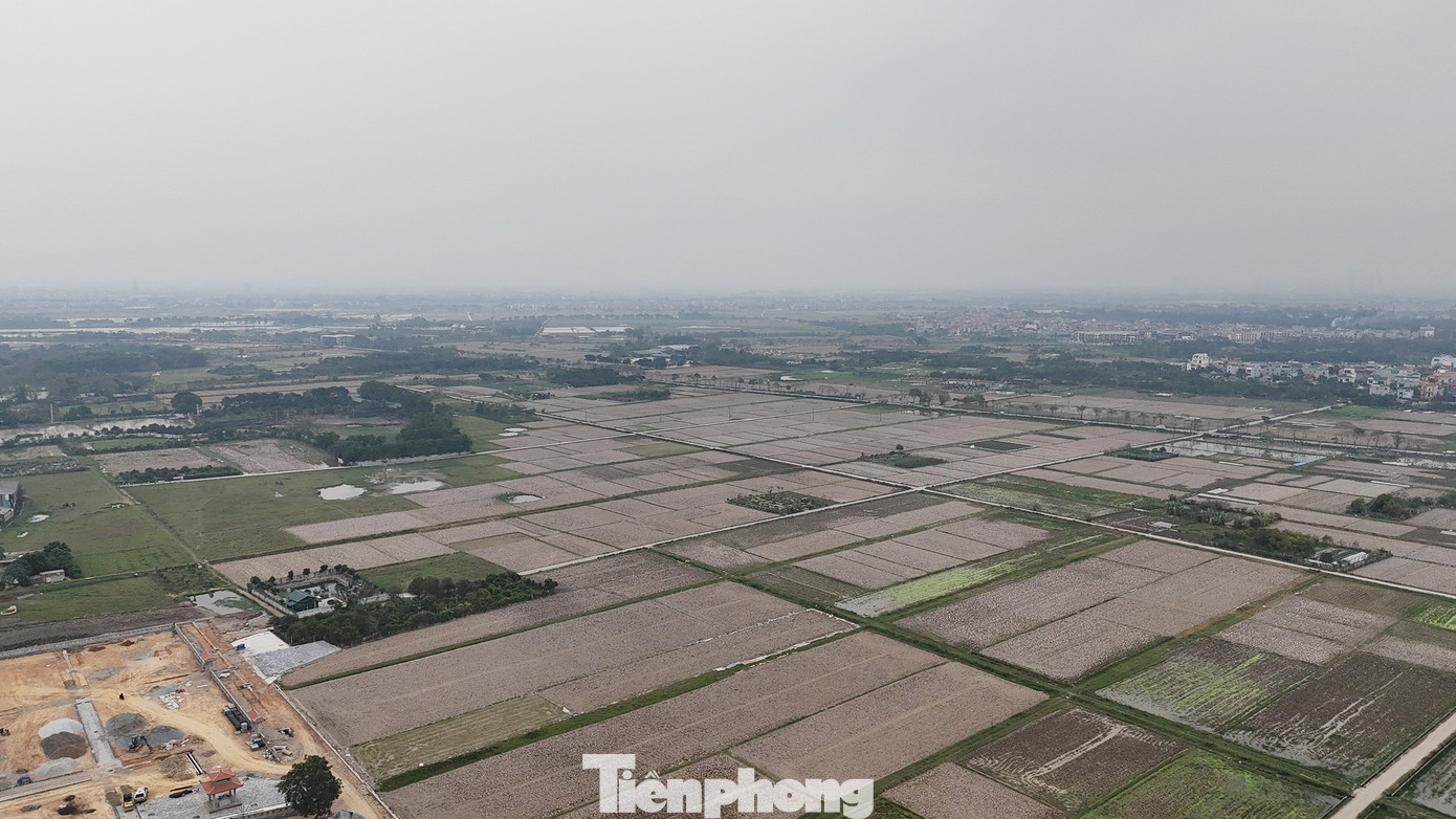 Cận cảnh khu vực làm 3 'siêu đô thị' tái định cư cho Trục đại lộ cảnh quan sông Hồng- Ảnh 12.