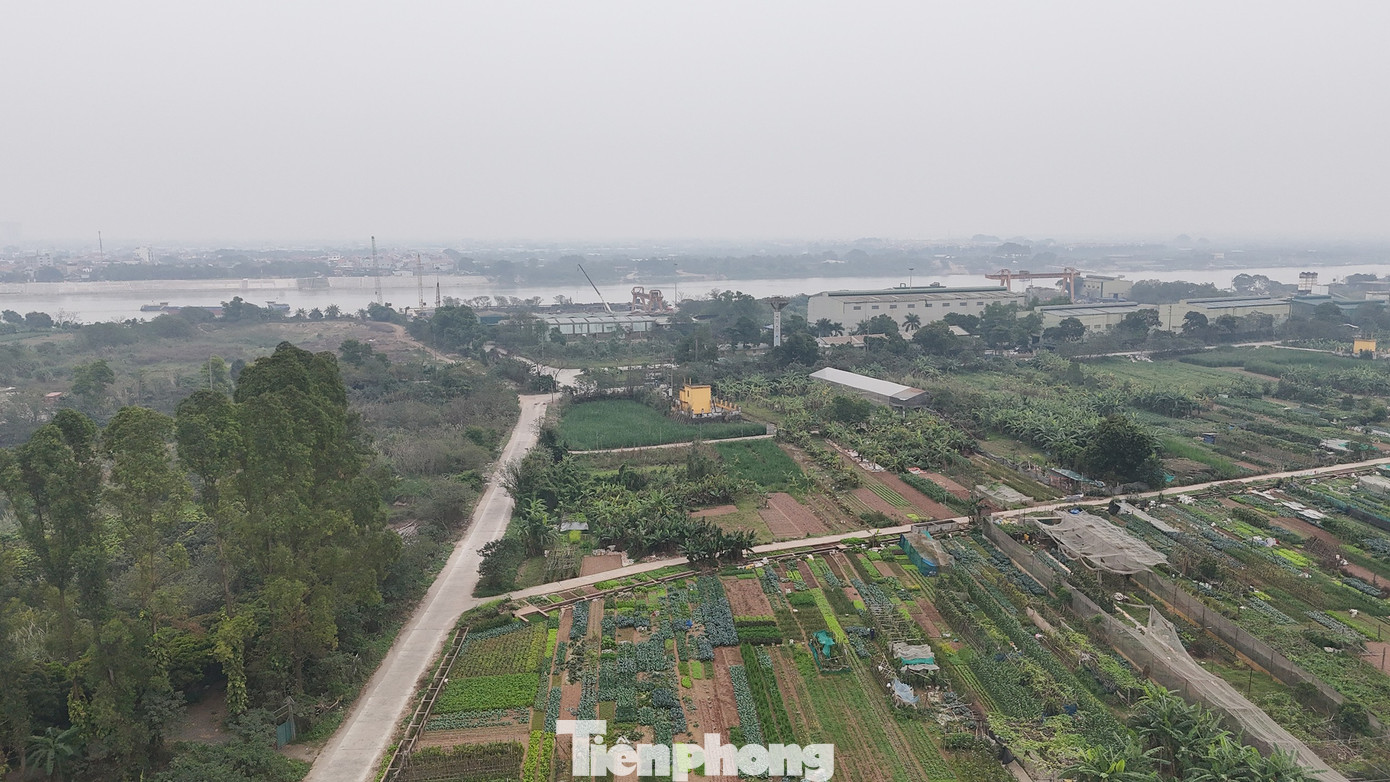 Cận cảnh khu vực làm 3 'siêu đô thị' tái định cư cho Trục đại lộ cảnh quan sông Hồng- Ảnh 6.