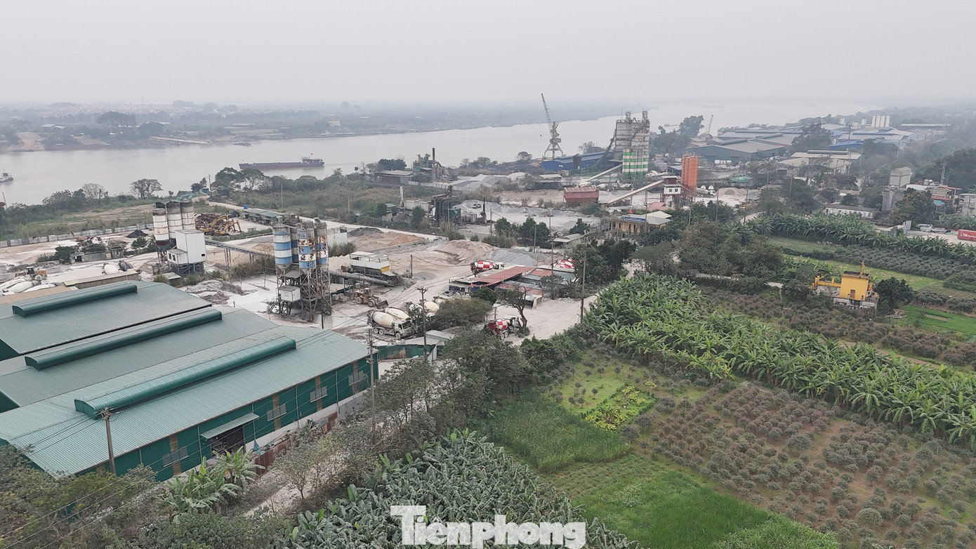 Cận cảnh khu vực làm 3 'siêu đô thị' tái định cư cho Trục đại lộ cảnh quan sông Hồng- Ảnh 7.