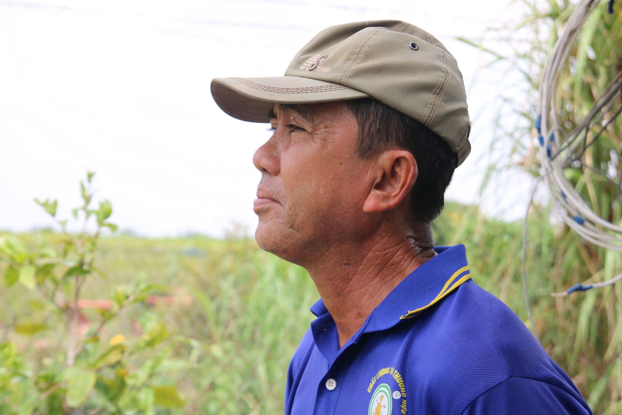 Bất ngờ với giống hoa Tết có tới hàng chục cánh, được giới sành chơi đặc biệt săn đón - Ảnh 4.