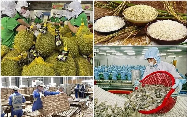 Xuất khẩu nông, lâm, thủy sản tháng 1 tăng gần 30% - Ảnh 1.