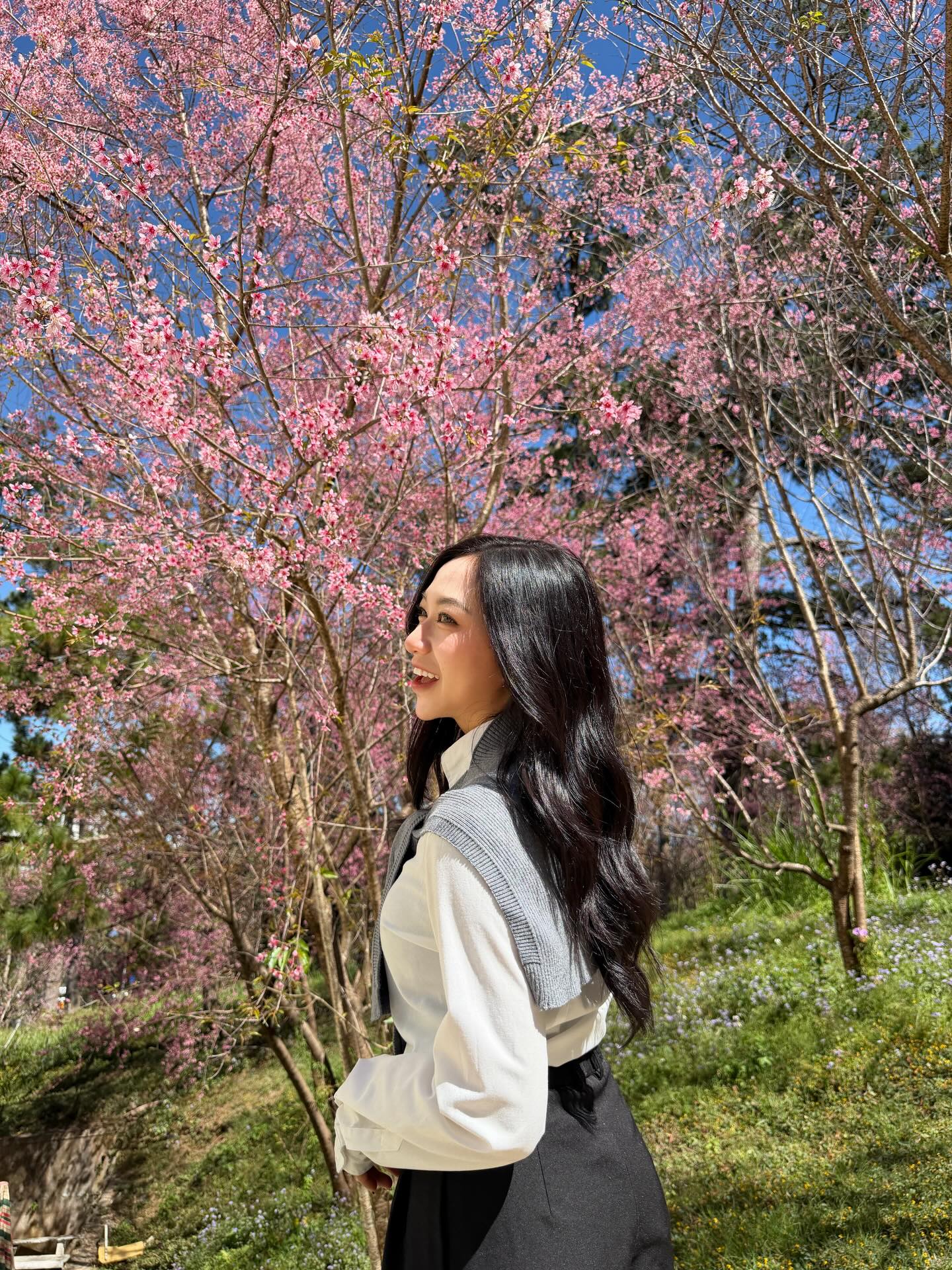 Đang phát điên vì hoa mai anh đào Đà Lạt!- Ảnh 11.