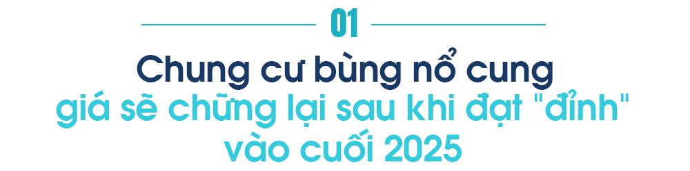 BHS R&D: Năm 2026, nguồn cung chung cư ồ ạt đổ bộ, giá chạm đỉnh rồi "đứng im"…nhà đầu tư nên làm gì? - Ảnh 1.