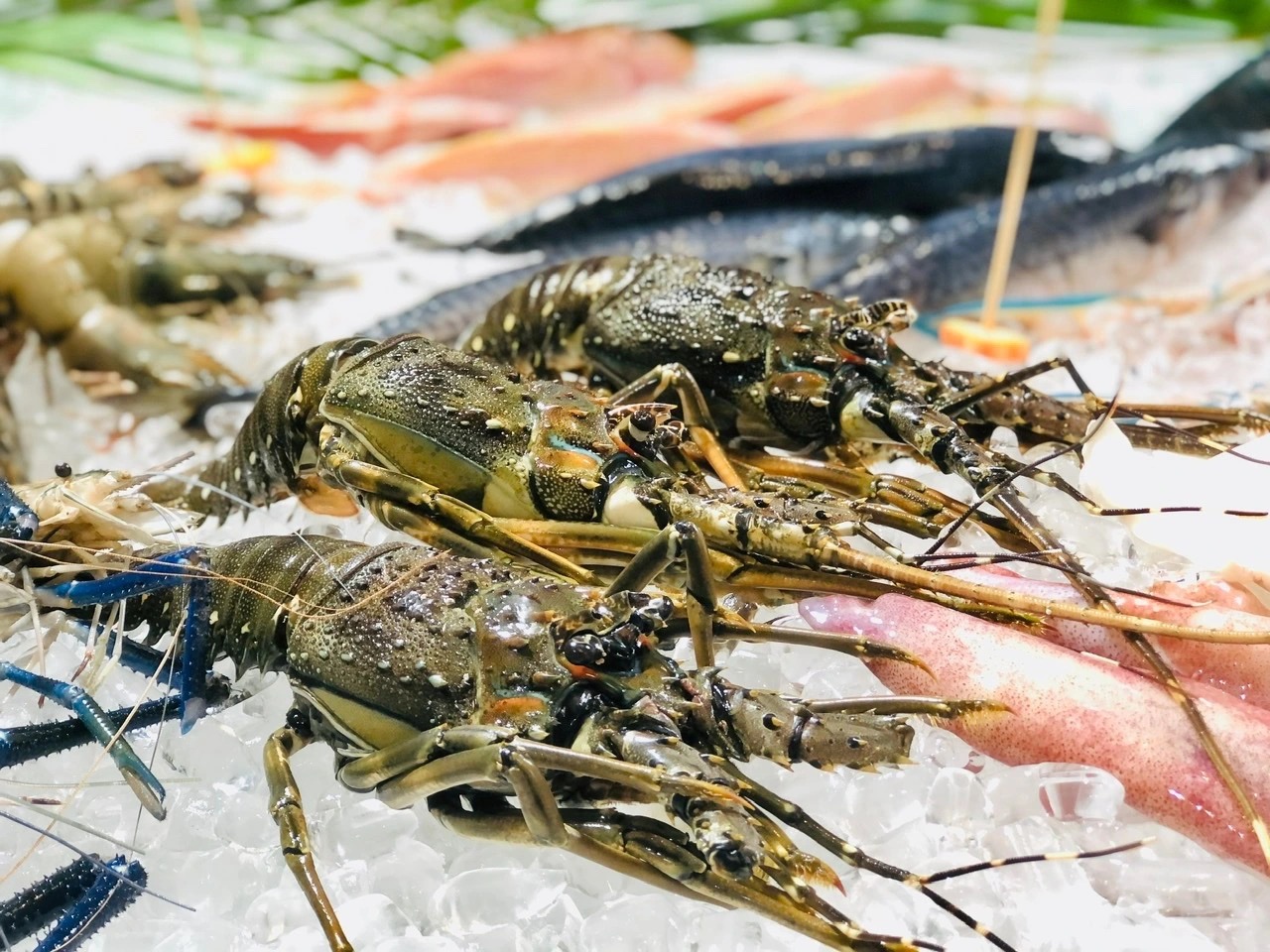 Một ngành hàng của Việt Nam được cả thế giới săn đón - xuất khẩu đạt 874 triệu USD tháng đầu năm, tăng trưởng 13%- Ảnh 2.