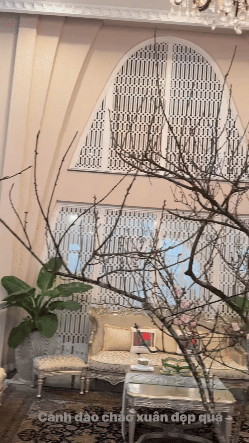 Tết tràn vào biệt thự 1.000m2 của Hoa hậu “34 năm không có người kế vị”- Ảnh 3.