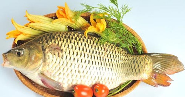 Bây giờ tôi mới biết: Hóa ra đây là loại cá khiến chị bạn 40+ của mình trông trẻ như gái 30! - Ảnh 3.