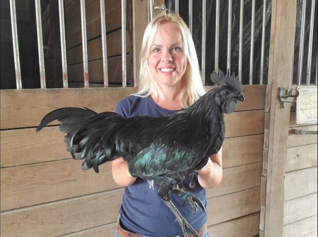 Nghề nuôi con kỳ lạ ở Việt Nam: Loài vật đen sì toàn thân, trứng giá cả triệu đồng vẫn không đủ bán- Ảnh 4.