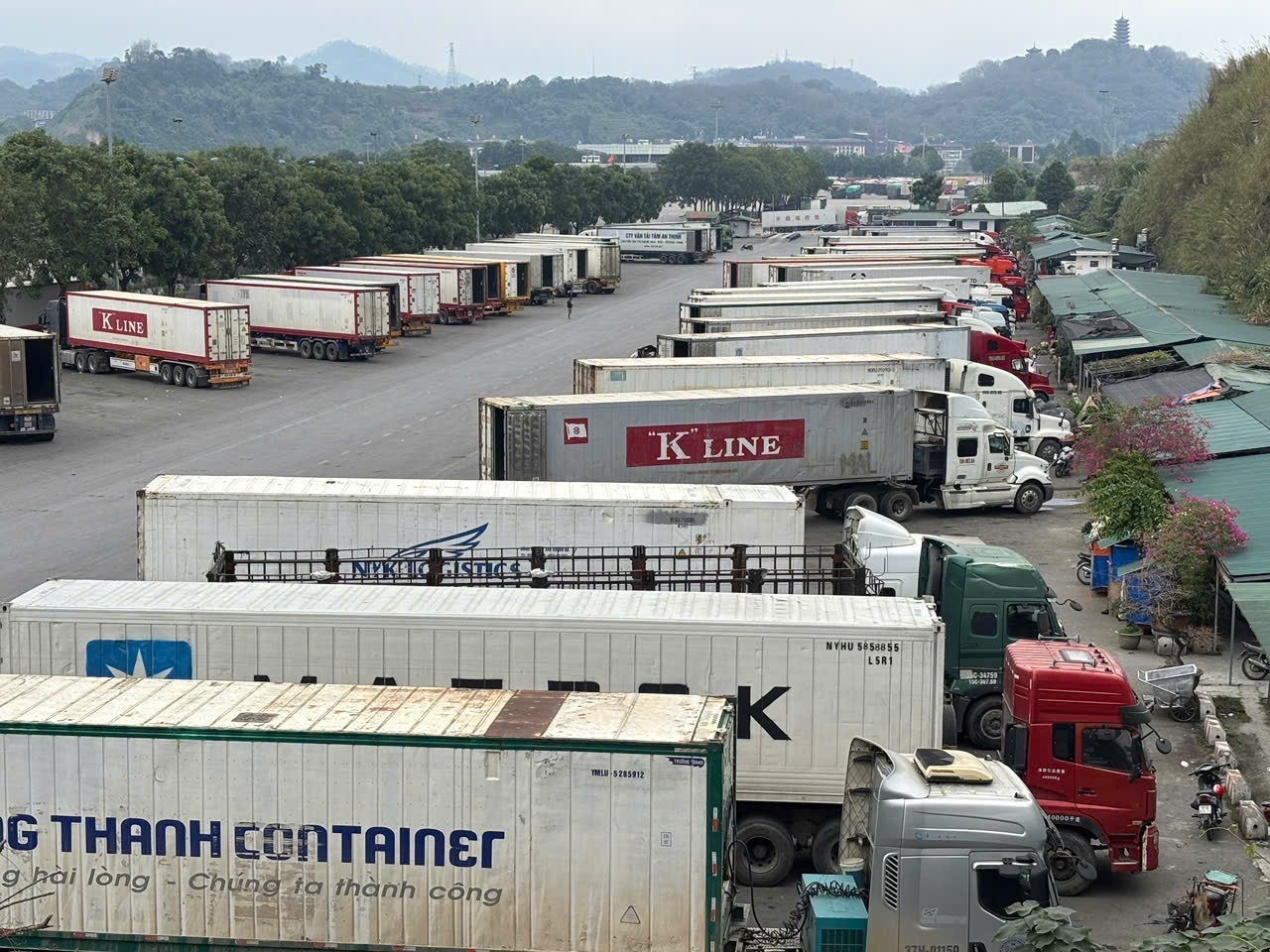 Bộ Y tế chính thức đề xuất tạm dừng Nghị định 46 và Nghị quyết 66.13/2026 của Chính phủ- Ảnh 1.