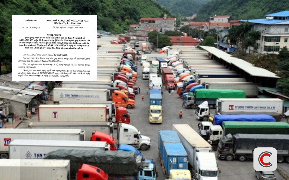 Nóng: Chính phủ quyết định Tạm dừng áp dụng Nghị định số 46 đến hết ngày 15/4/2026 - Ảnh 1.
