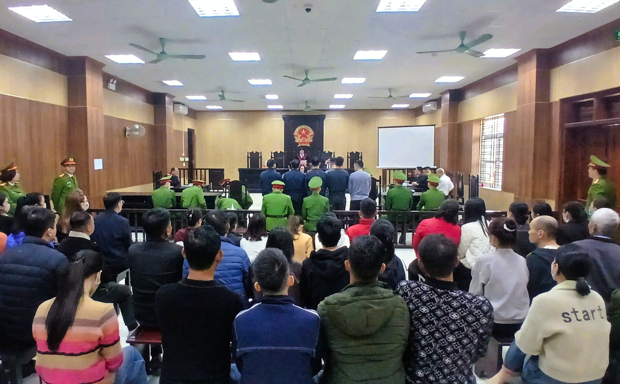 Môi giới hối lộ, trùm giang hồ Mạnh "gỗ" nhận 3,092 tỉ đồng, đưa kiểm lâm 36,5 triệu đồng - Ảnh 1.