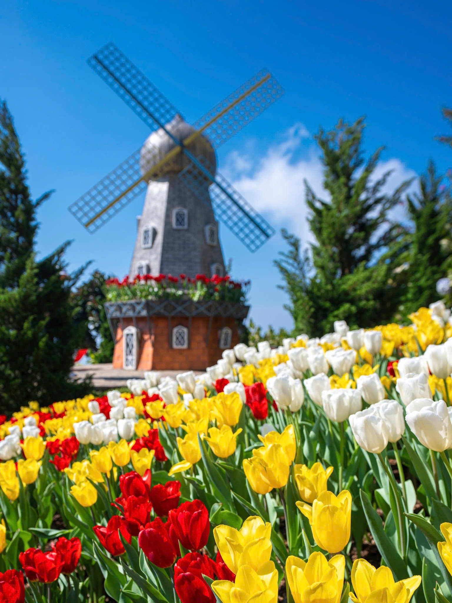 Cảnh tượng tại "nóc nhà Nam Bộ" khiến nhiều người bất ngờ, nhận xét: Thật không ngờ tới!- Ảnh 4.