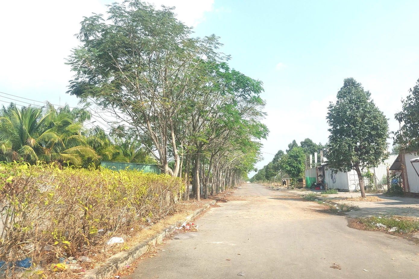 Hiện trạng Khu dân cư từng bố trí đất xây trung tâm chữa bệnh miễn phí cho ‘thần y’- Ảnh 15.