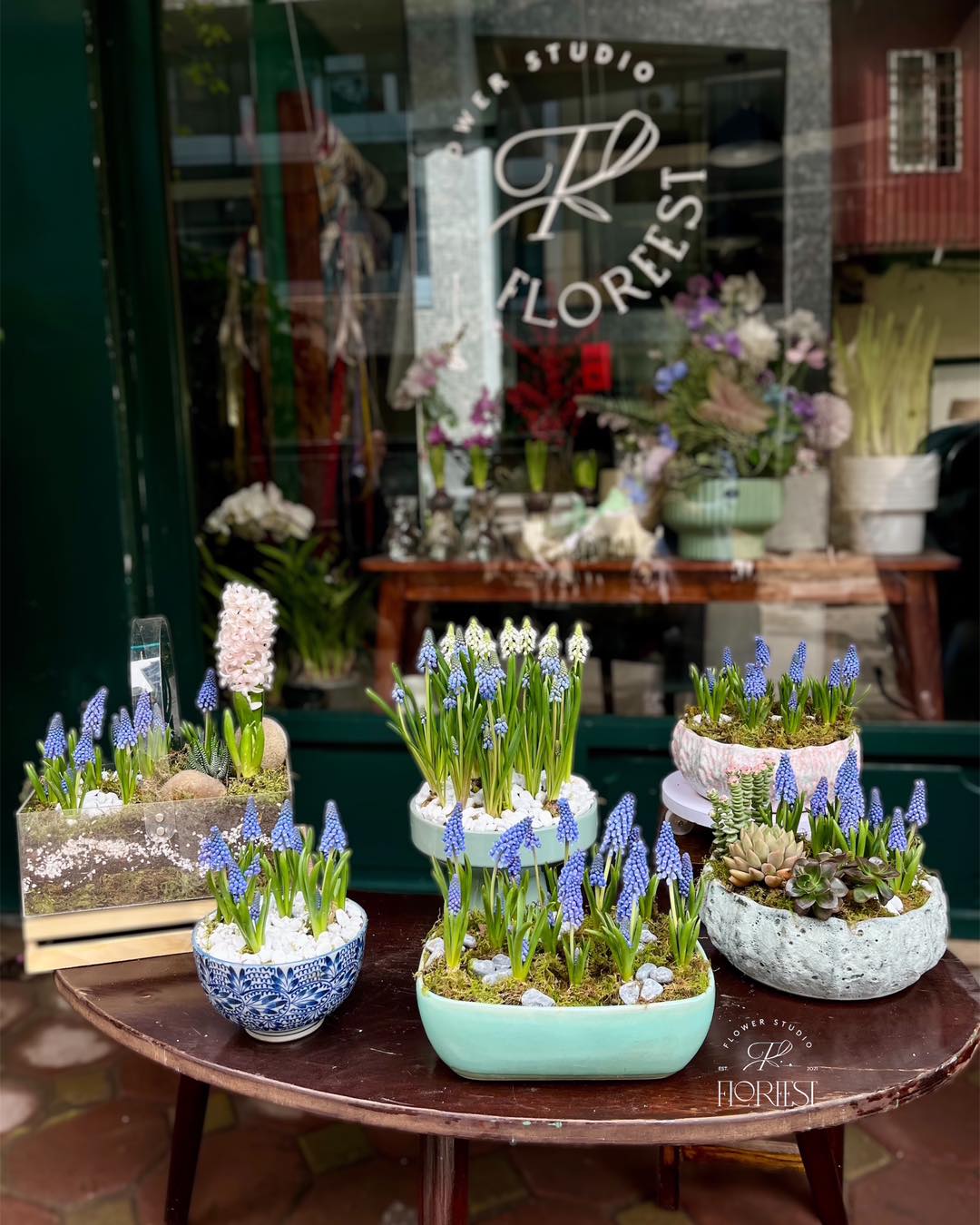 Loài hoa đang được chị em Hà Nội săn lùng dịp Tết: Giá chỉ bằng bát phở mà sang chảnh như trời Tây, đặt đâu cũng thấy lộc về- Ảnh 5.