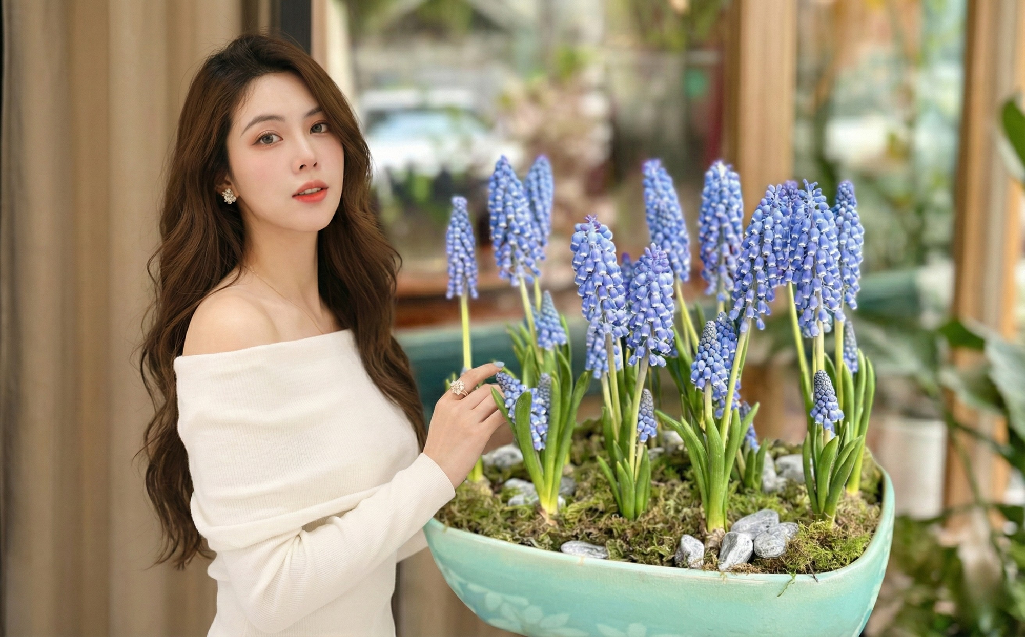 Loài hoa đang được chị em Hà Nội săn lùng dịp Tết: Giá chỉ bằng bát phở mà sang chảnh như trời Tây, đặt đâu cũng thấy lộc về- Ảnh 1.