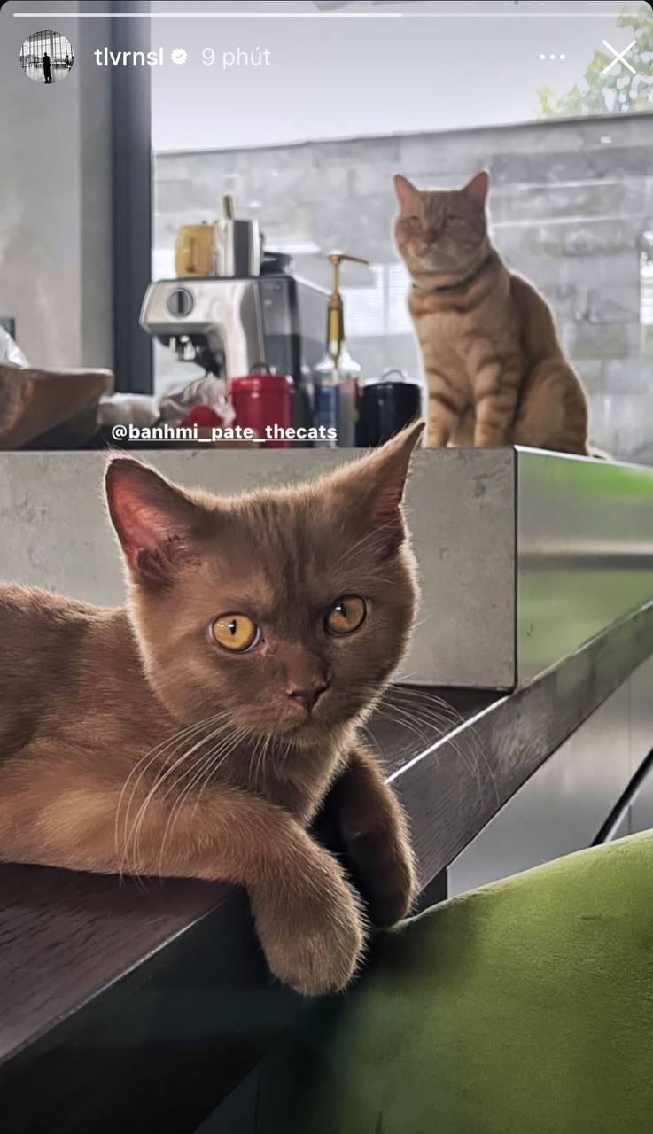 Tóc Tiên trở về biệt thự- Ảnh 3.