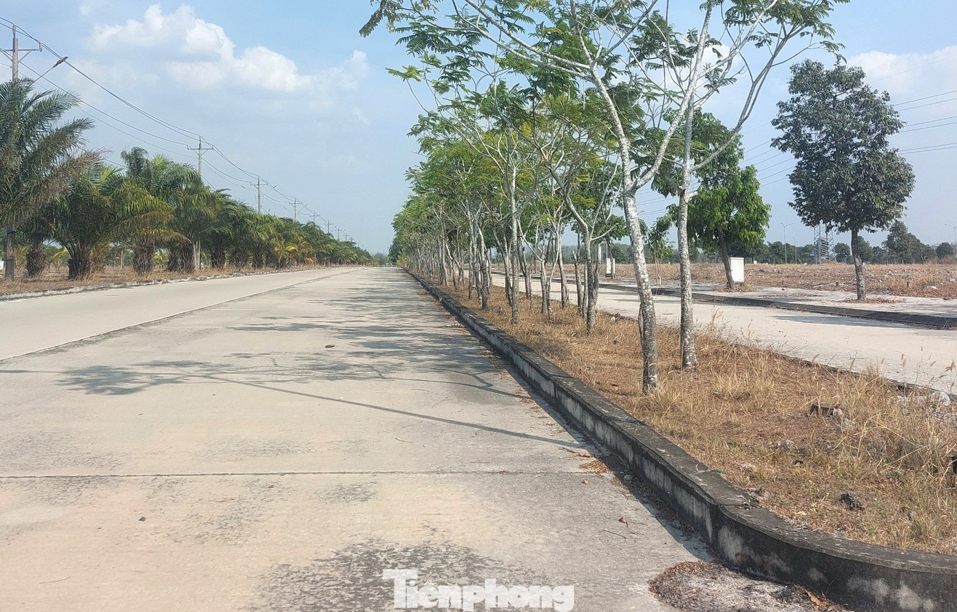 Hiện trạng Khu dân cư từng bố trí đất xây trung tâm chữa bệnh miễn phí cho ‘thần y’- Ảnh 6.