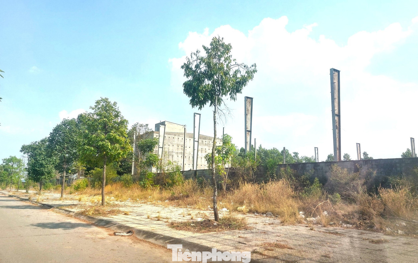 Hiện trạng Khu dân cư từng bố trí đất xây trung tâm chữa bệnh miễn phí cho ‘thần y’- Ảnh 14.