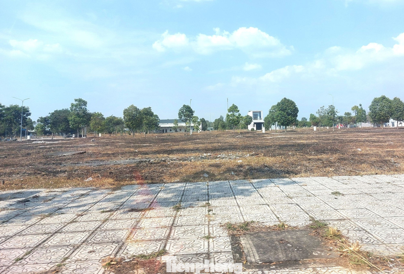 Hiện trạng Khu dân cư từng bố trí đất xây trung tâm chữa bệnh miễn phí cho ‘thần y’- Ảnh 11.