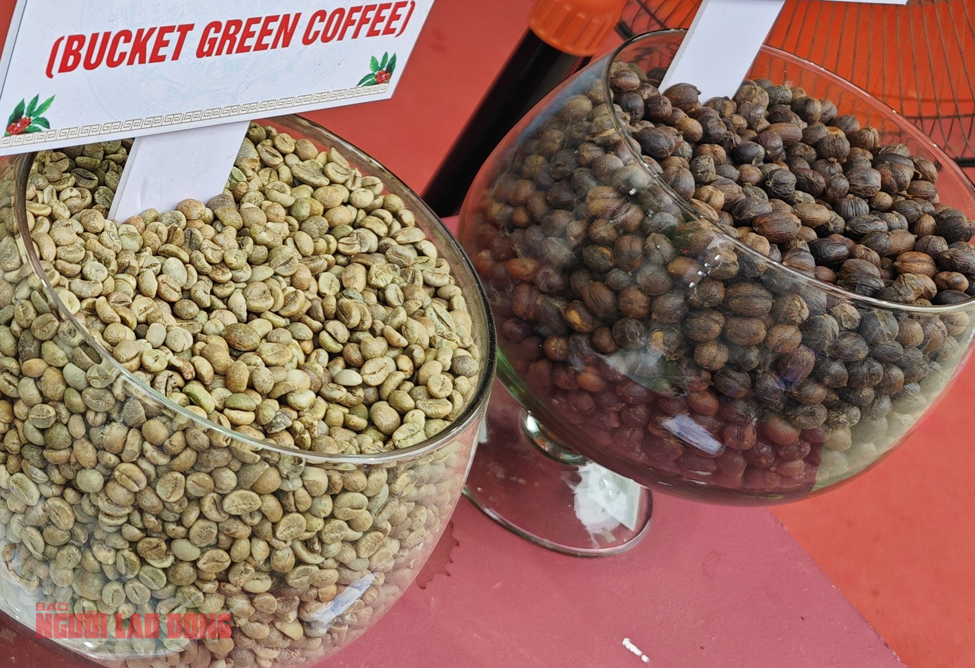 Giá cà phê hôm nay 7-2: Chốt tuần giảm mạnh  - Ảnh 1.