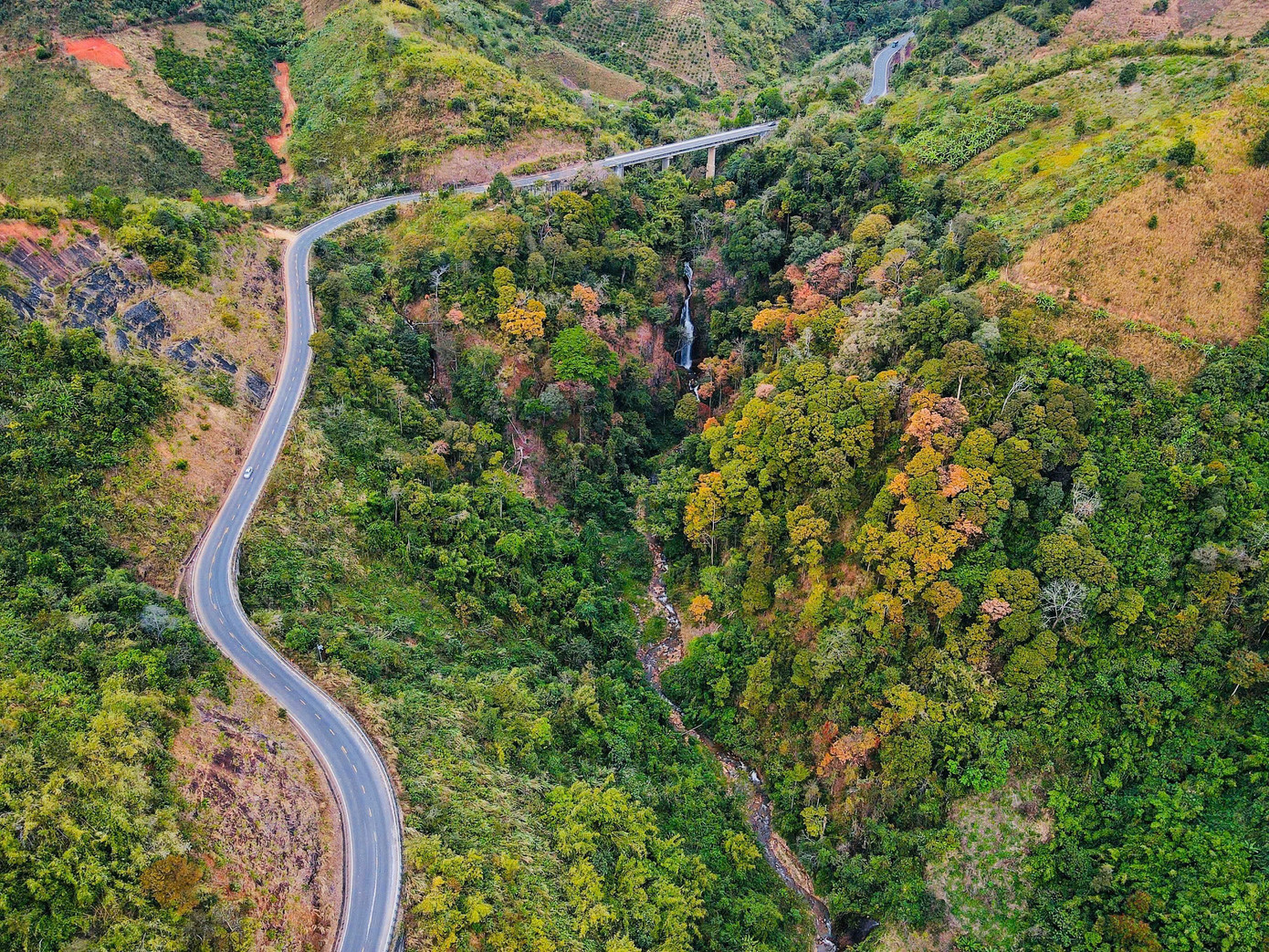 'Tuyệt đối điện ảnh' bằng lăng Măng Đen mùa thay lá- Ảnh 8.