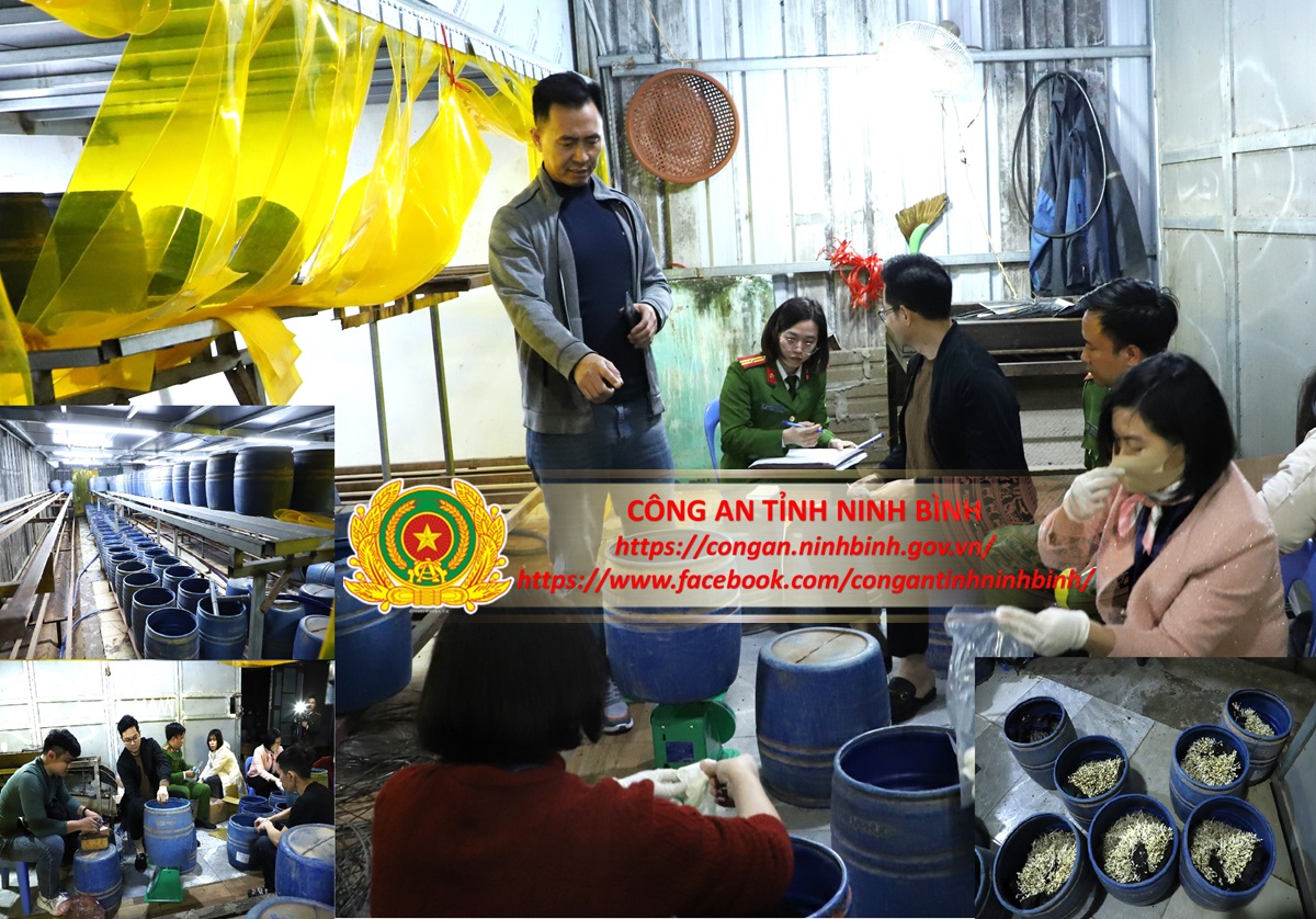 Ra lệnh bắt tạm giam chủ xưởng Trần Quốc Đại sinh năm 1998 - Ảnh 1.