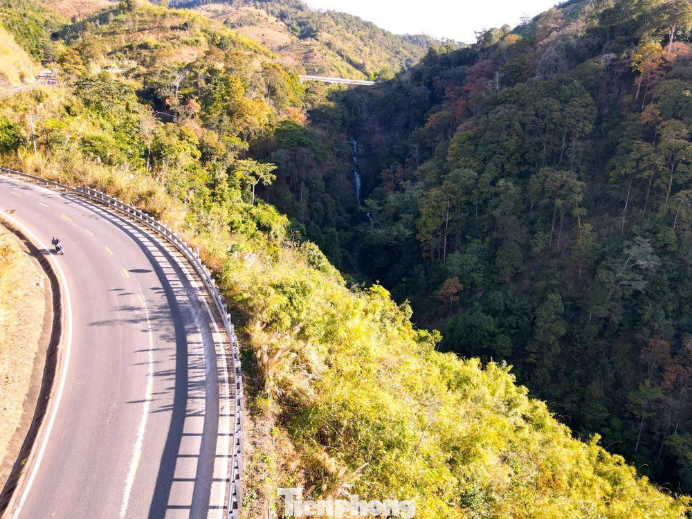 'Tuyệt đối điện ảnh' bằng lăng Măng Đen mùa thay lá- Ảnh 12.