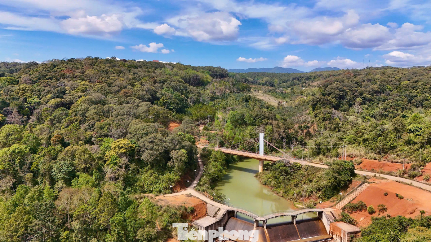 'Tuyệt đối điện ảnh' bằng lăng Măng Đen mùa thay lá- Ảnh 13.