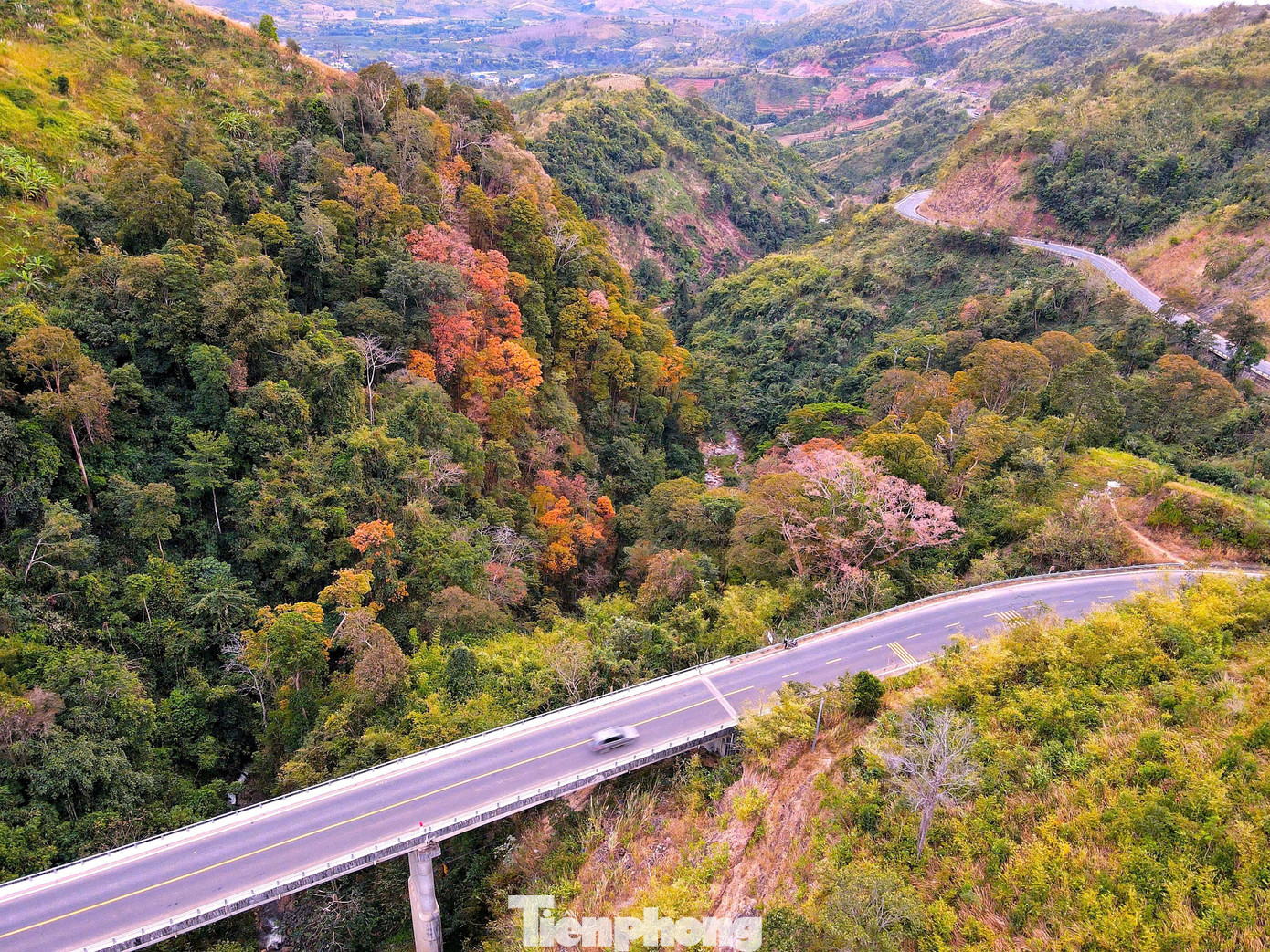 'Tuyệt đối điện ảnh' bằng lăng Măng Đen mùa thay lá- Ảnh 1.