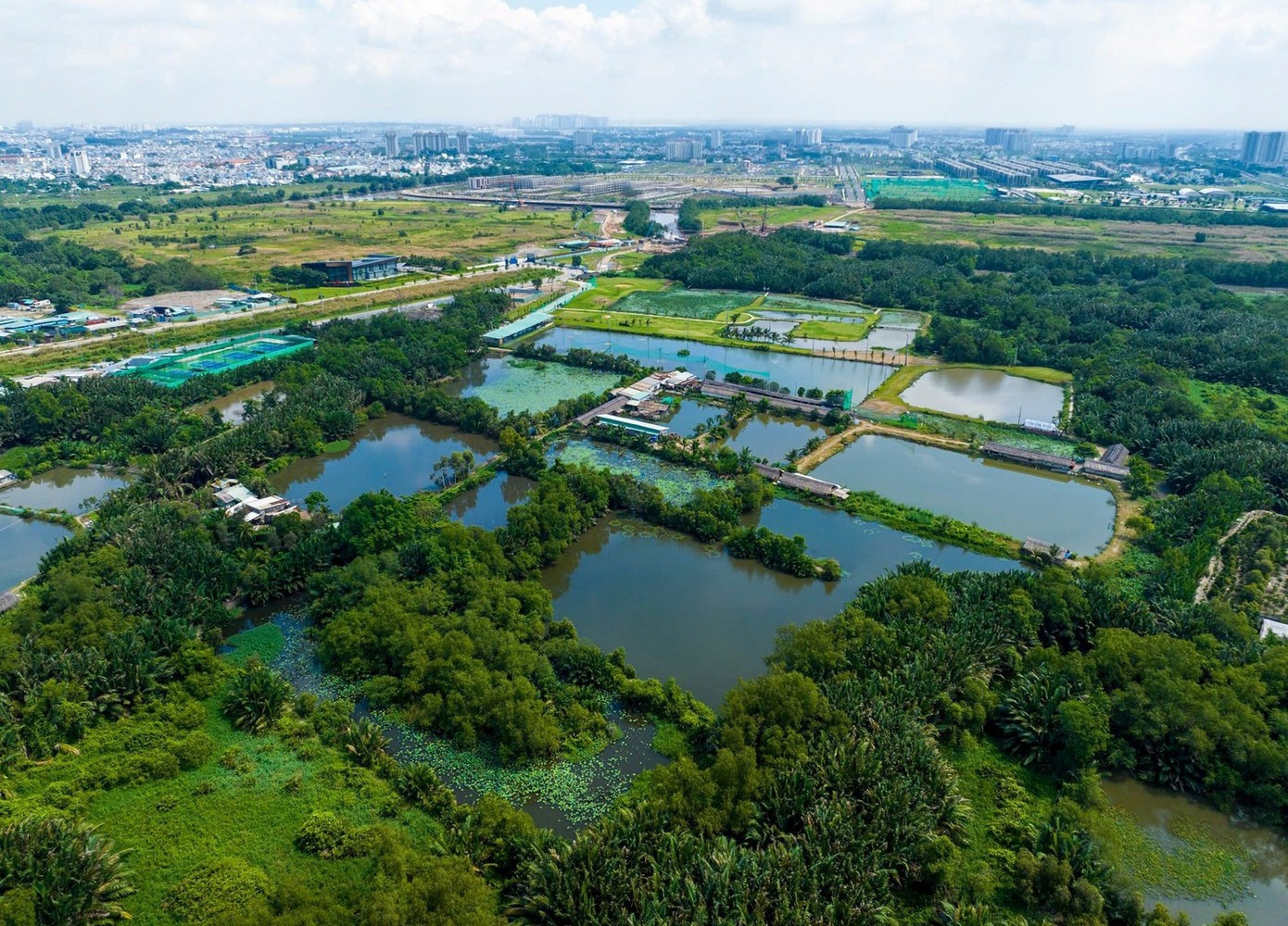 Diễn biến mới ở Khu liên hợp Thể dục thể thao 146.000 tỷ đồng- Ảnh 1.