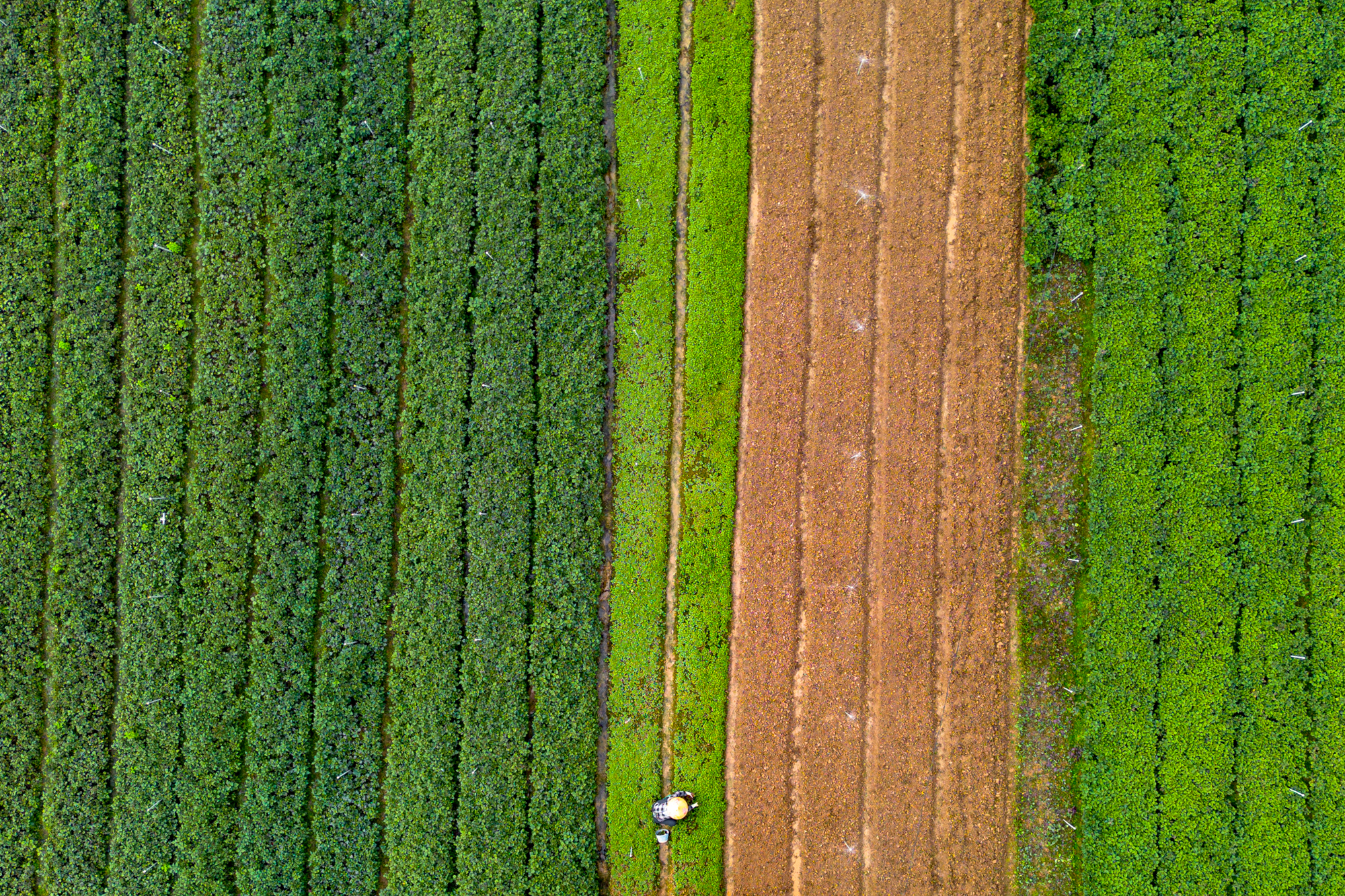 Toàn cảnh khu đô thị rộng ngang ngửa trung tâm Hà Nội, sở hữu sân vận động lớn nhất thế giới - Ảnh 8.