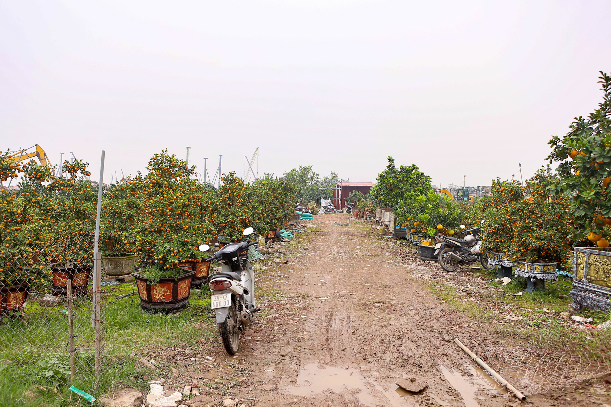 Toàn cảnh công trường sân vận động 60.000 chỗ lớn thứ 2 Việt Nam: Có mặt bằng "sạch" sau 2 tháng, máy móc phủ kín, sắp hoàn thành san lấp - Ảnh 7.