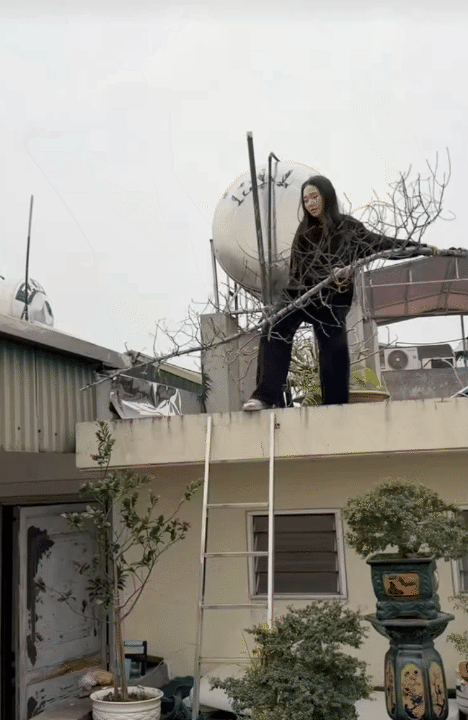 Mẹ bỉm "cao tay" tận dụng cành đào khô từ Tết năm ngoái, hô biến thành cành đào rực rỡ chỉ với hơn 200k- Ảnh 1.