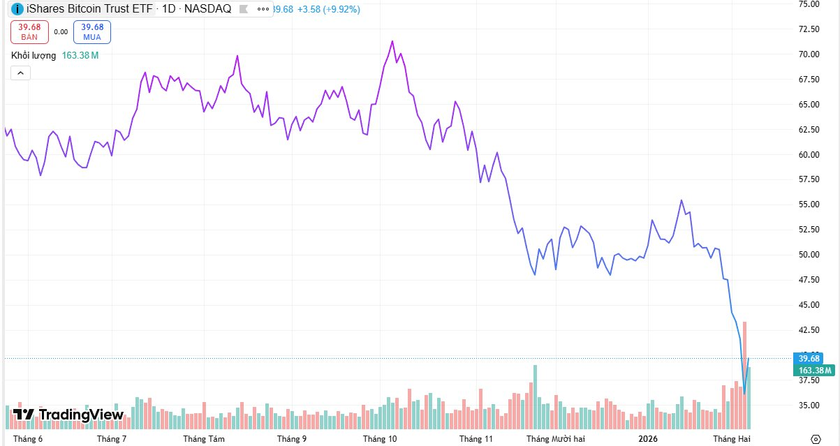 "Cá voi" Bitcoin vừa lập kỷ lục chưa từng có- Ảnh 1.