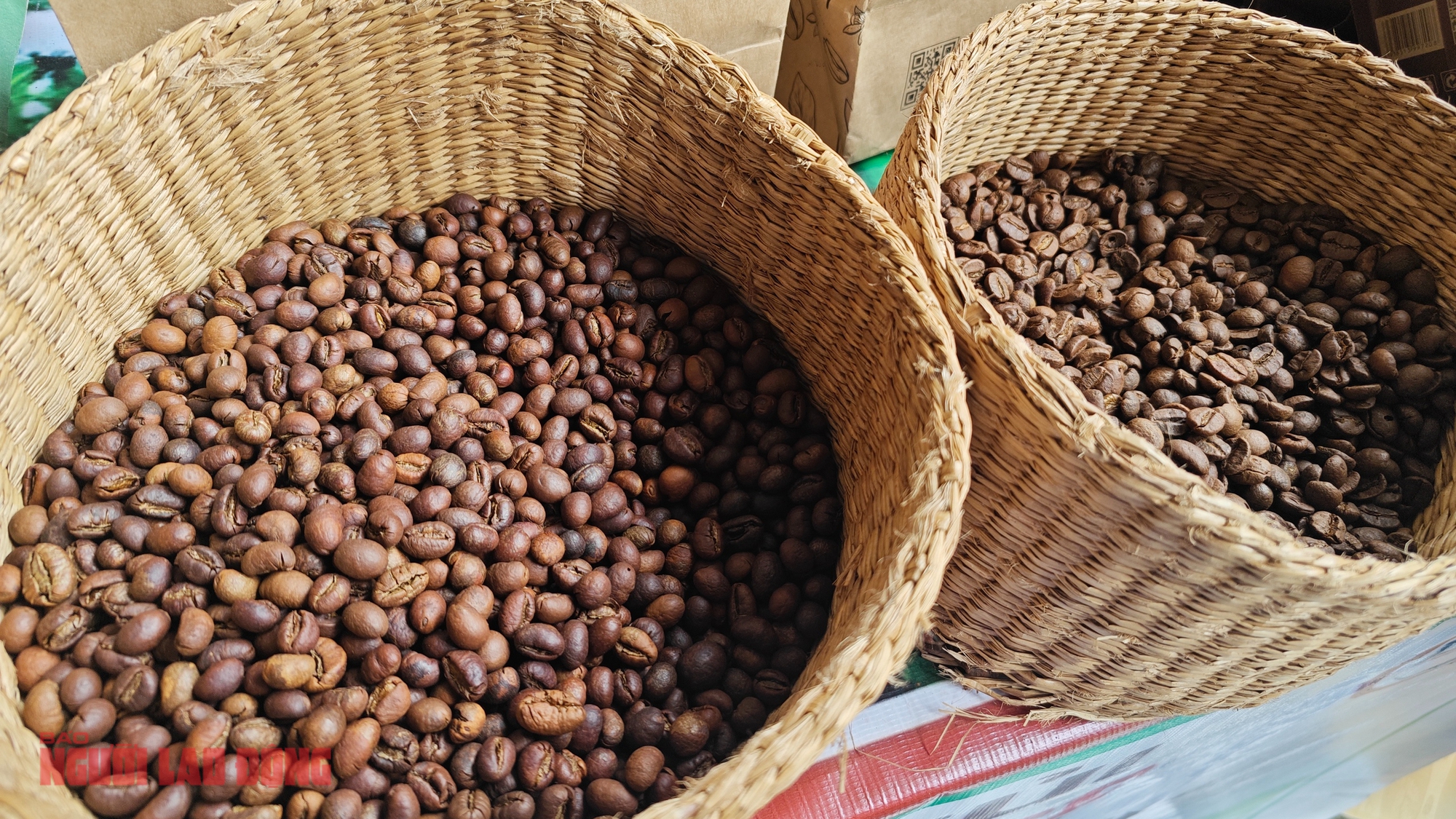 Giá cà phê hôm nay 1-3: Giữ giá tốt, là nhà cung cấp thứ 2 cho Hàn Quốc - Ảnh 1.