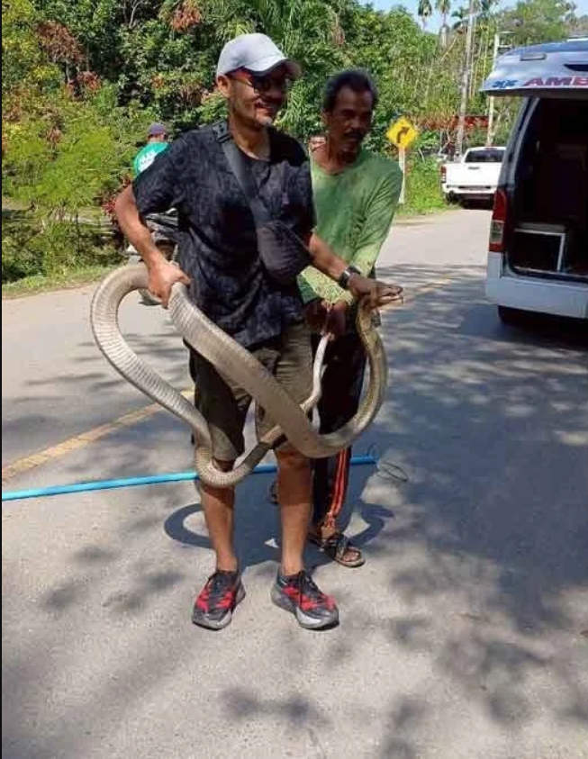 Nghe tiếng động lạ dưới gầm giường, chủ nhà "đứng tim" khi phát hiện 'vị khách không mời' khổng lồ - Ảnh 1.