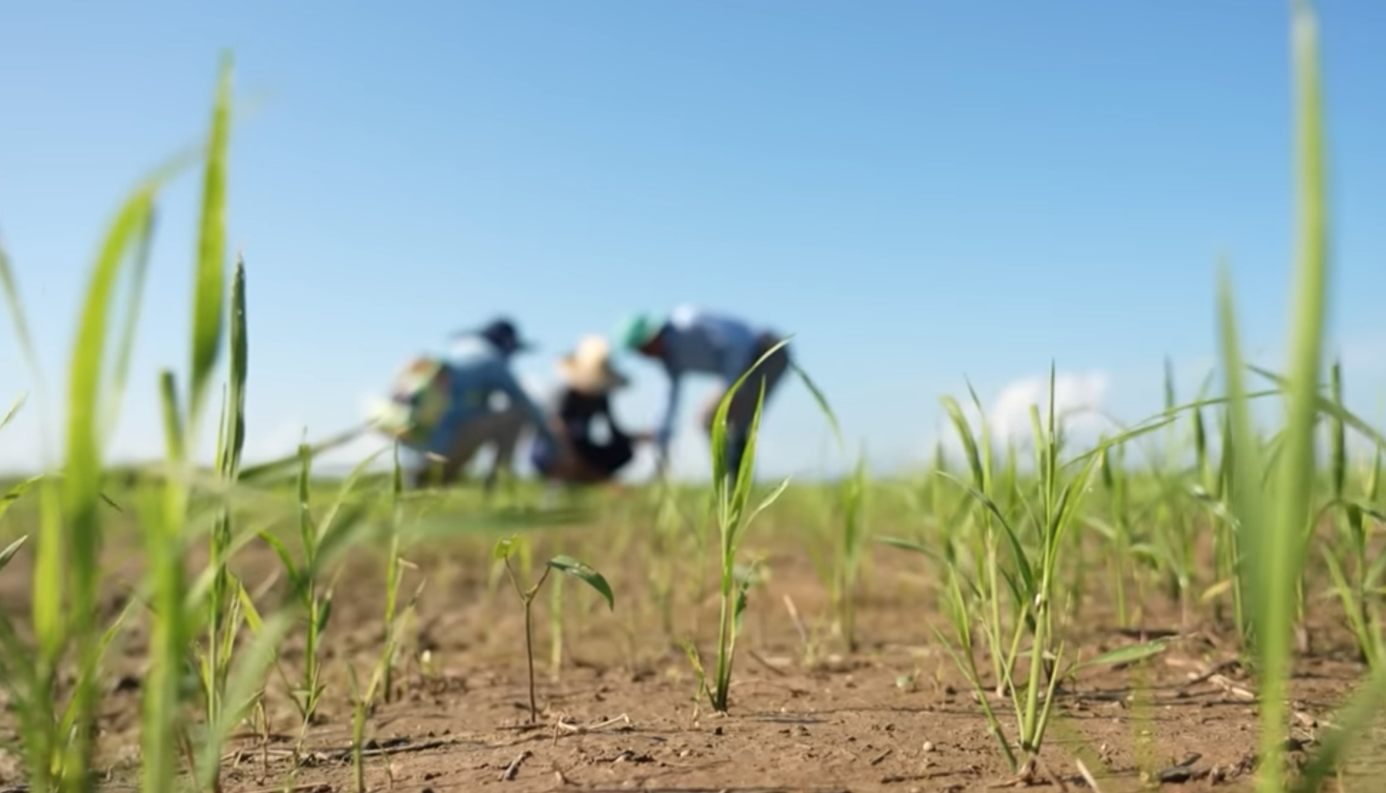 "Món quà vượt đại dương" cùng Tổng Bí thư Tô Lâm và niềm hạnh phúc vỡ òa ở Cuba - Ảnh 2.