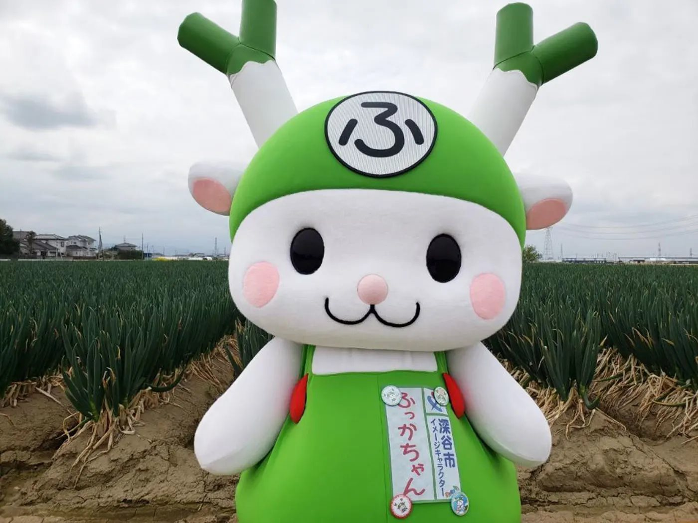 Thứ kỳ dị trên Internet của Nhật Bản khiến ai lần đầu tiên mở trang web cũng "bật ngửa": Họ bị sao vậy?- Ảnh 5.