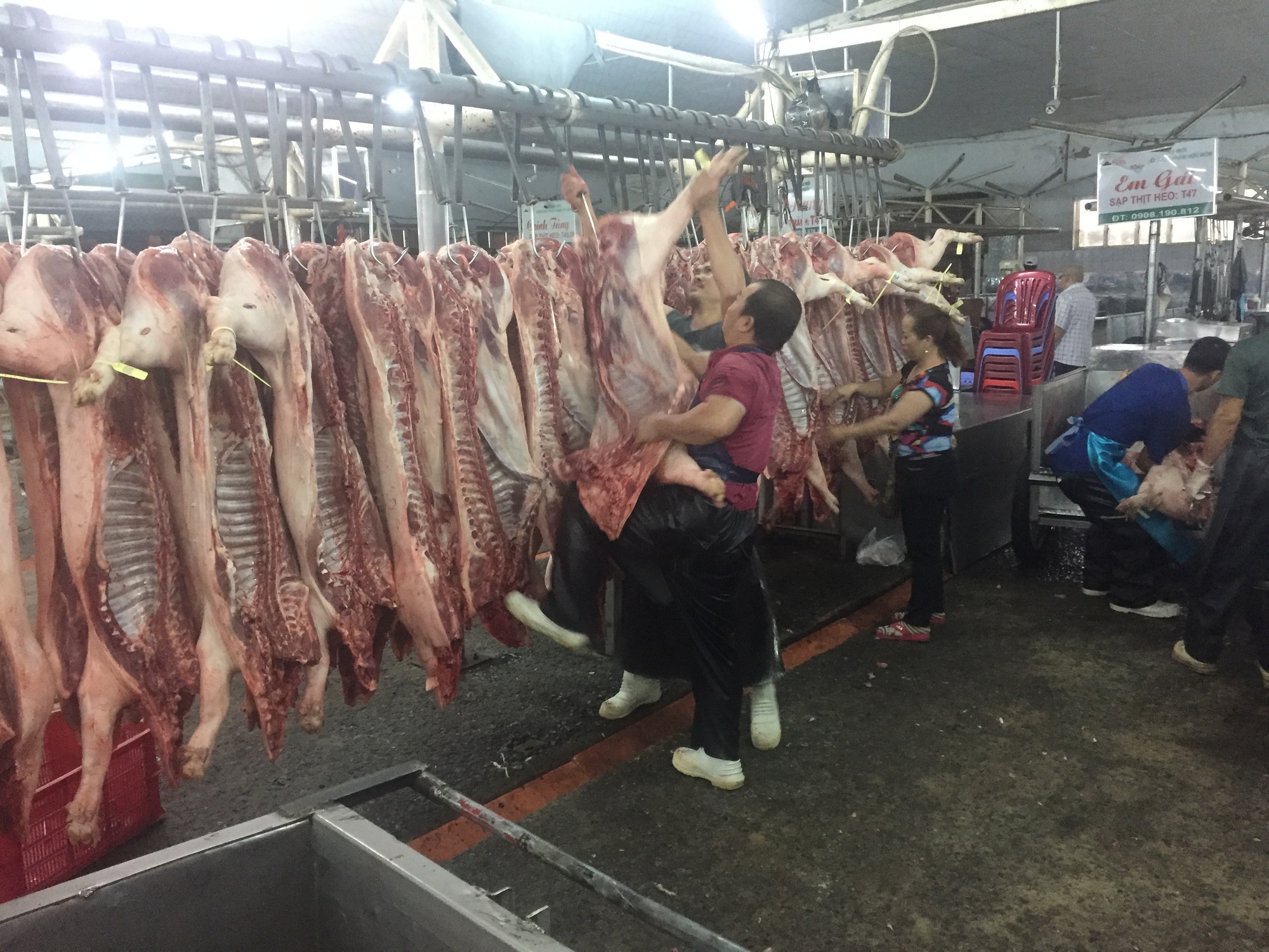 Giá heo hơi hôm nay 10 - 3: Sự biến động giá heo mảnh tại chợ đầu mối TP HCM - Ảnh 1.