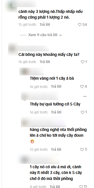 "Phú bà showbiz" khoe được tặng hoa hồng bằng vàng 9999, netizen thi nhau đoán giá- Ảnh 3.
