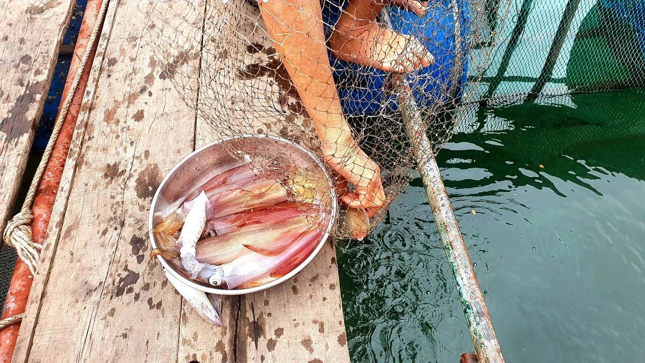 Đặc sản "ăn một lần, nhớ một đời" của tỉnh miền Trung: Chủ tịch tỉnh phải đăng lên Facebook - Ảnh 3.