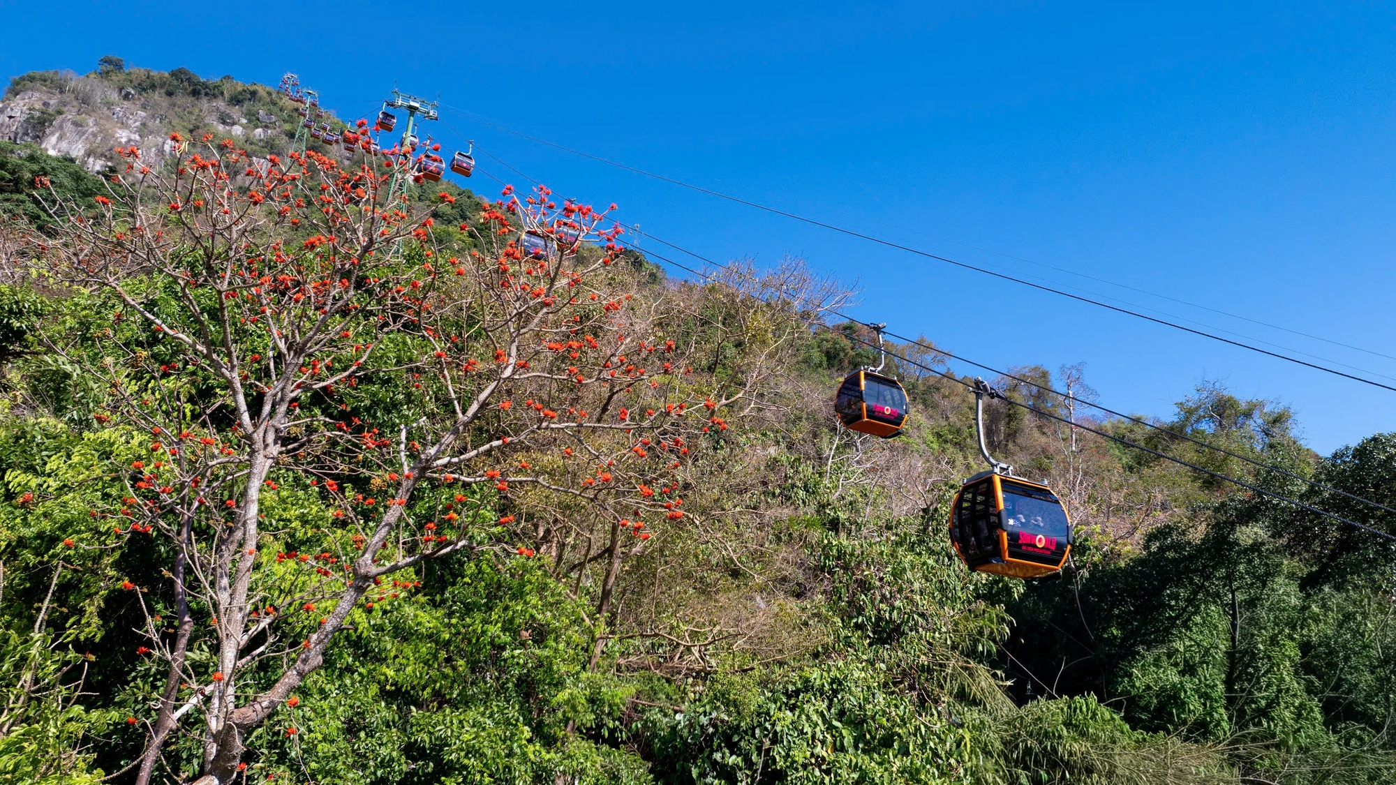 Tháng 3, giới trẻ đổ về núi Bà Đen “săn” ảnh hoa vông nem đỏ rực - Ảnh 5.