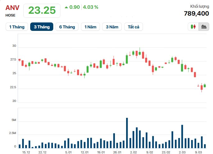 Image12 1773211137130 17732111373561884211730