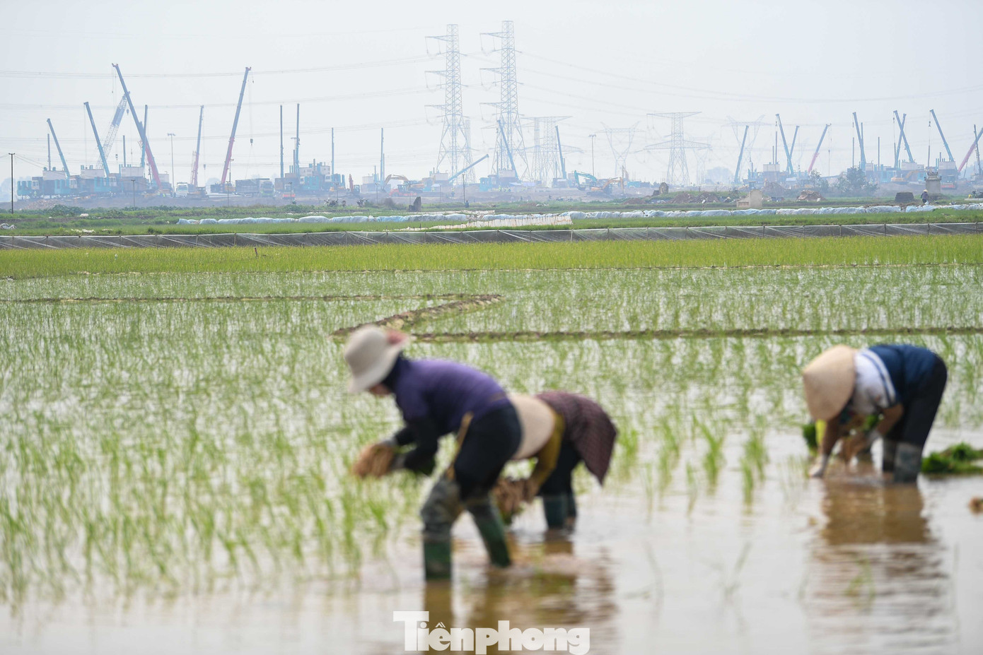 Bay trên công trường sân vận động Trống Đồng - Ảnh 8.