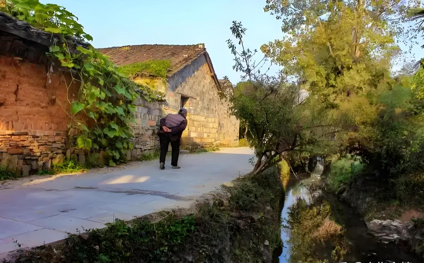 Một tuần về quê chăm chị gái, tôi thay đổi hoàn toàn suy nghĩ: Nghỉ hưu ở quê không chỉ dễ sống mà còn là bài toán tài chính đáng cân nhắc- Ảnh 3.